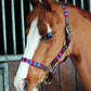 Breeze Up Chukka "Rodrigo"Headcollar- Pony Size Only- Brown Leather- Brown, Beige, Chocolale
