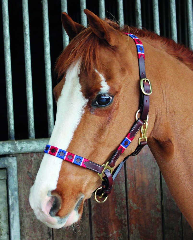 Breeze Up Chukka "Rodrigo"Headcollar- Pony Size Only- Brown Leather- Brown, Beige, Chocolale