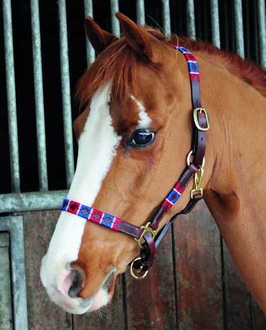 Breeze Up Chukka "Rodrigo"Headcollar- Pony Size Only- Brown Leather- Brown, Beige, Chocolale