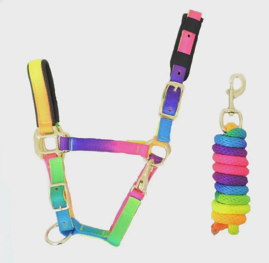KM Elite Rainbow Headcollar & Rope Set- Large/ Full Size Only